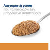 Εικόνα της Hill's Prescription Diet k/d Kidney Care για Σκύλους 350gr