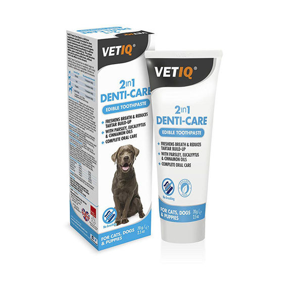 Εικόνα της VetIQ Denti Care 2in1 Οδοντόκρεμα Για Σκύλους & Γάτες 70gr