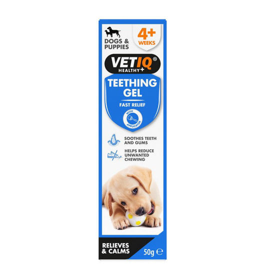 Εικόνα της VetIQ Teething Gel 50gr