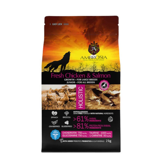 Εικόνα της Ambrosia Grain Free Puppy Large Chicken & Salmon 2kg